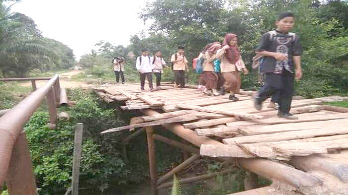 Jembatan Kayu di Desa Tungkal V Nyaris Ambruk