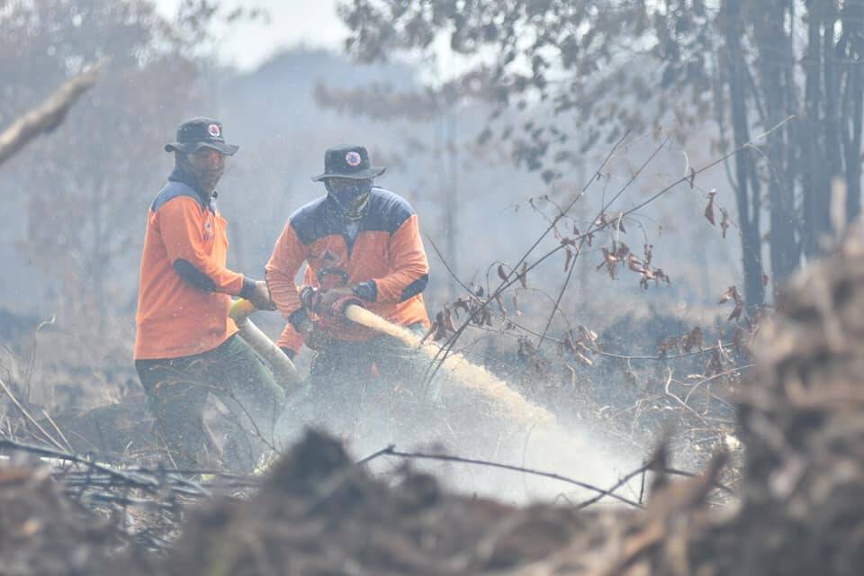 Petugas Kesulitan Padamkan Kebakaran Lahan Gambut di Kumpeh Ulu