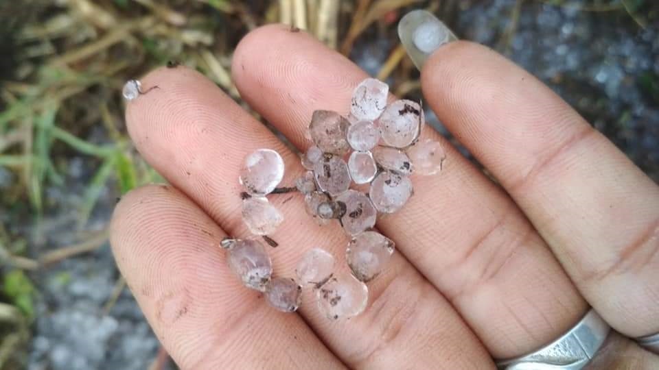 Musim Kemarau, Kayu Aro Dilanda Hujan Es