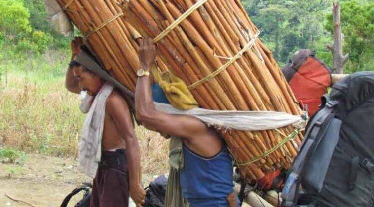 Pemerintah Siap Tingkatkan Kualitas Produk Kayu Manis