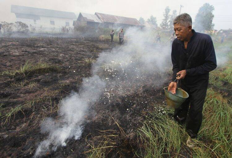 Puluhan Desa Peduli Gambut Terdapat di Jambi