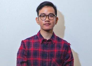 PDI Ingatkan Demokrat Tak Ikut Campuri Urusan Gibran