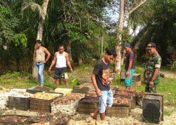 Petani dan Pengepul Keluhkan Harga Karet