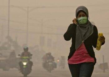 Polda Jambi dan Sumsel Bentuk Posko Bersama Tangkal Karhutla 