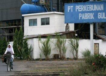 Pemerintah Akan Sanksi Tegas Pabrik Gula