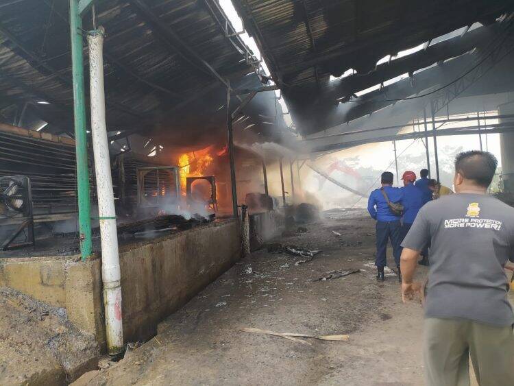 Gudang Triplek Rata Dengan Tanah
