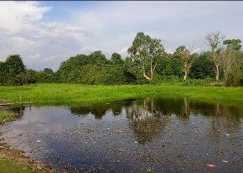Danau Solok Bisa Perbaiki Ekonomi Warga, Asalkan..