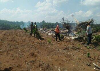 50 Titik Hotspot Muncul di Sarolangun