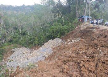 HUT RI di Tanjab Timur, Pesta Rakyat Ditiadakan