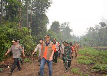 Jambi Termasuk Berstatus Siaga Darurat, BNPB: Kedepankan Pelibatan Semua Unsur