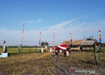 Upacara Kemerdekaan di Tengah Sawah Bangkitkan Semangat Petani