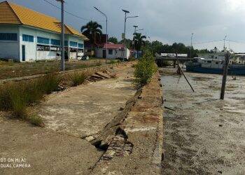 Tempat Pelelangan Ikan Tak Terurus, Petugas Tak Pernah Ngantor