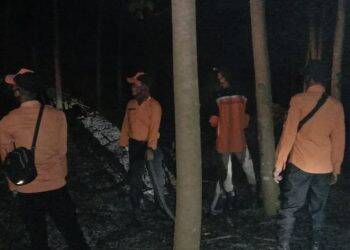 Karhutla Terjadi di Lahan PT LAJ