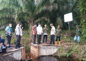 BRG Cek Sekat Kanal di Tanjab Timur