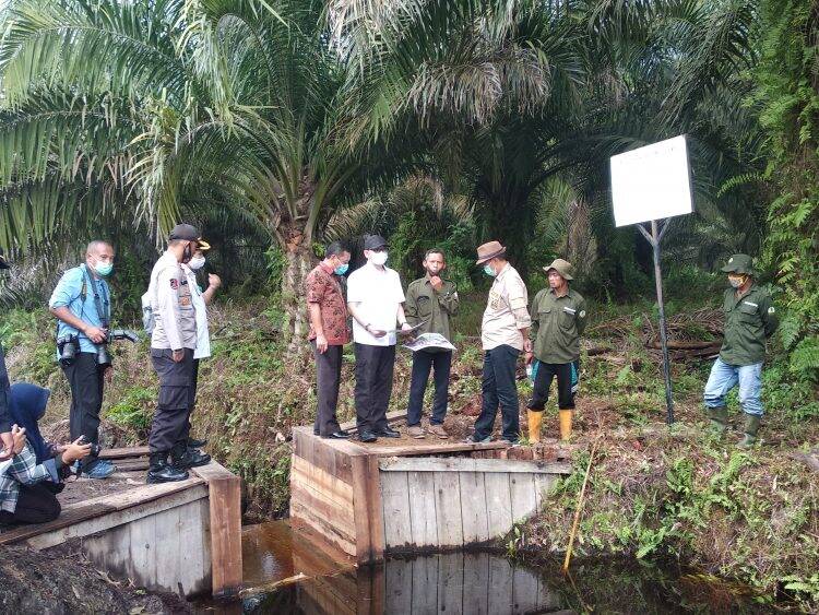 BRG Cek Sekat Kanal di Tanjab Timur