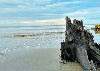 Pantai Babussalam Tanjab Timur Mulai Abrasi