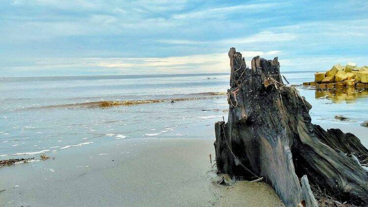 Pantai Babussalam Tanjab Timur Mulai Abrasi