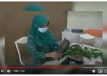 Tutorial Membuat Ramuan Daun Sungkai ala Hesti Haris