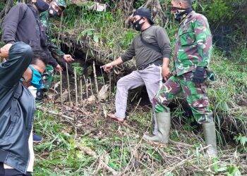 Warga bersama Babinsa setempat mendatangi lokasi tumbuhan yang diduga ganja itu. Foto: Hendra