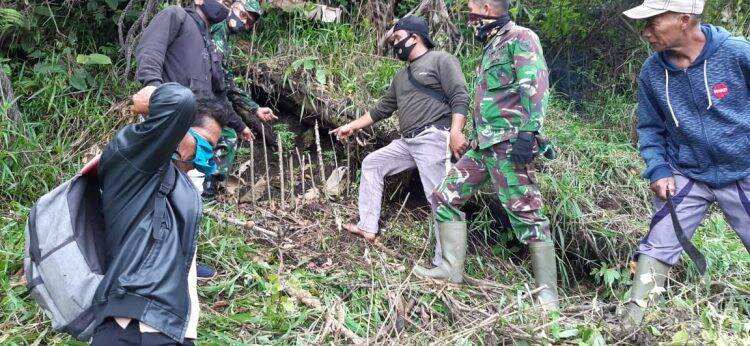 Warga bersama Babinsa setempat mendatangi lokasi tumbuhan yang diduga ganja itu. Foto: Hendra