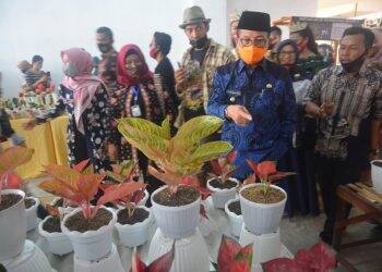Festival Bunga Diharapkan Fachrori Bawa Manfaat Ekonomi