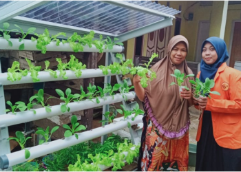 Ibu rumah tangga di Kabupaten Muaro Jambi mendapat pelatihan budidaya hidroponik vertukulur dari Universitas Jambi untuk tingkatkan perekonomian rumah tangga