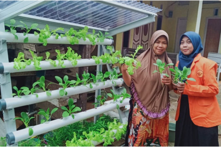 Ibu rumah tangga di Kabupaten Muaro Jambi mendapat pelatihan budidaya hidroponik vertukulur dari Universitas Jambi untuk tingkatkan perekonomian rumah tangga