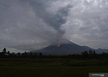 Gunung Semeru mengalami erupsi. Foto: Istimewa