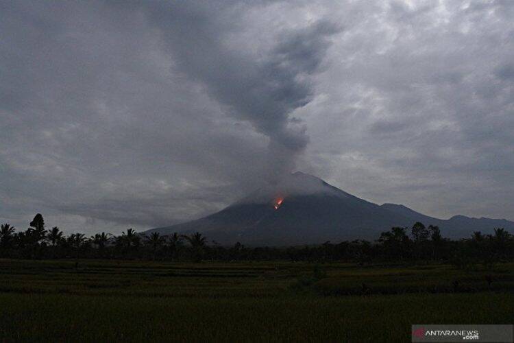 Gunung Semeru mengalami erupsi. Foto: Istimewa