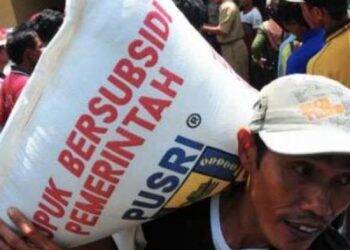 Desakan Cabut Pupuk Subsidi, Dewan: Boleh Saja