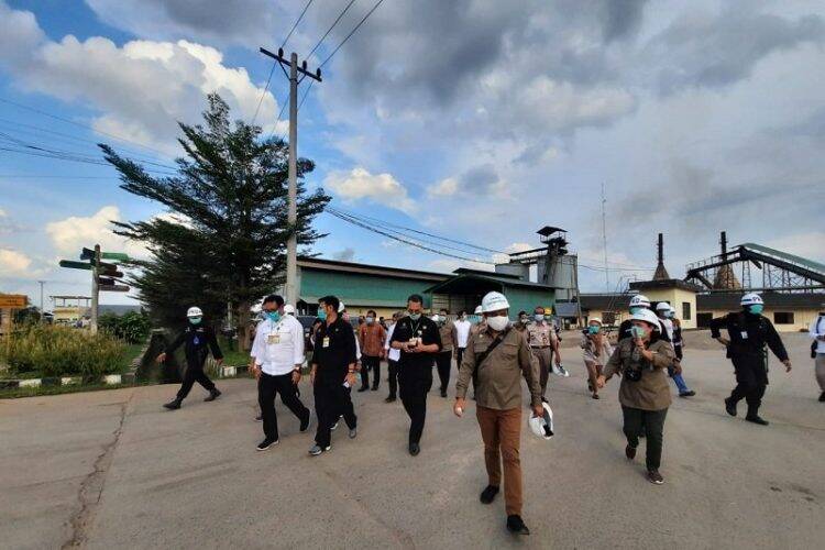 Kunjungan Menteri Pertanian ke Jambi Angin Segar untuk Petani Karet dan Sawit