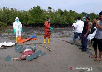 Warga Temukan Mayat WNA Malaysia Tak Utuh, Diduga jadi Santapan Hewan Laut