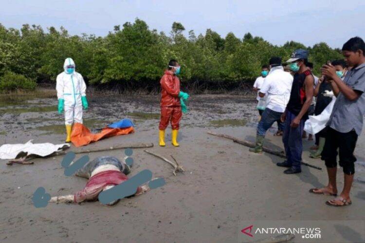 Warga Temukan Mayat WNA Malaysia Tak Utuh, Diduga jadi Santapan Hewan Laut