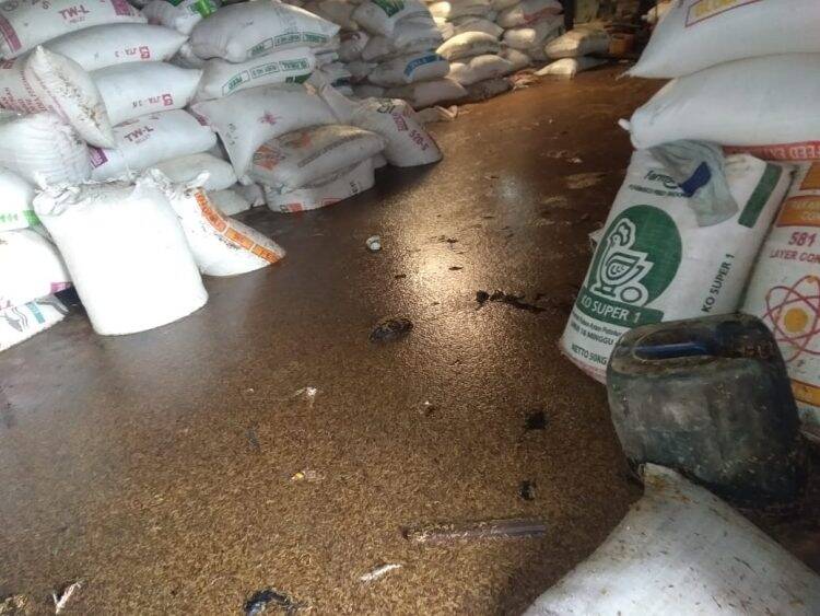 Petani Romi Hariyanto Merugi akibat Banjir: Mudah-mudahan Usulan Kami Diperhatikan