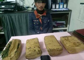 Bandar Ganja Ditangkap Polres Kerinci, Barang Bukti Disimpan dalam Tanah