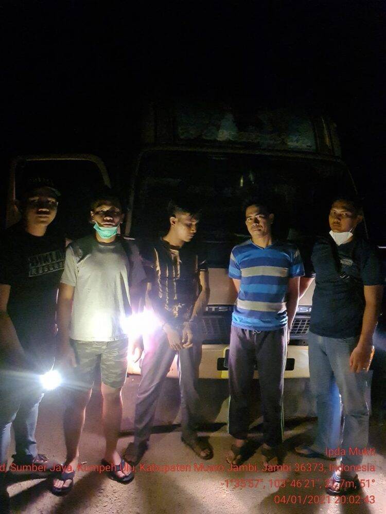 Sopir Illegal Loging Tujuan Seberang Kota Jambi Ditangkap Polisi