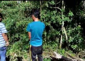Pemuda 20 Tahun Tanam Ganja di Merangin