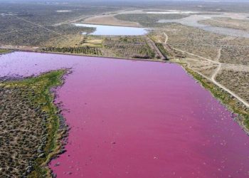 Dua Danau Argentina Berubah Warna Pink