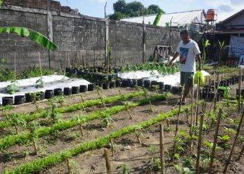 Gentrifikasi Bikin Harga Tanah Tak Terjangkau
