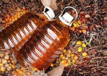 Minyak Sawit Jadikan Indonesia Produsen Nomor Satu Biodiesel