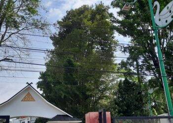 Kabel Listrik dan Telepon Semrawut Hiasi Kota Jambi