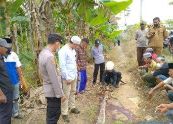 Nenek 90 Tahun Warga Muara Sabak Tewas Dililit Ular Piton