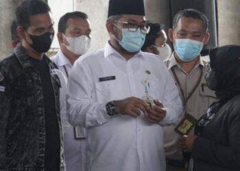 Pinang Jambi Memiliki Nilai Ekspor Tinggi
