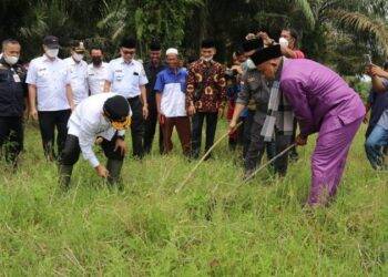 Haris Apresiasi Kegiatan Turun ke Sawah