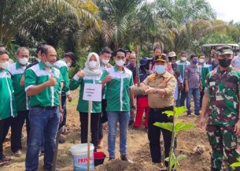 Haris Dorong Porang Jadi Komoditi Unggulan
