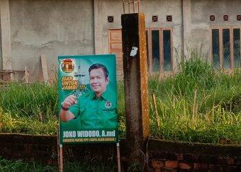 Nggak Ada Angin Nggak Ada Hujan, Joko Widodo Nyaleg DPRD Jambi, Ketua PPP Ngaku Tak Kaget