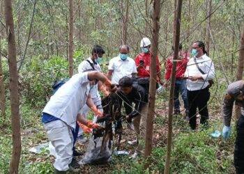 Warga Sumatera Utara Sudah jadi Kerangka di Kebun Akasia PT WKS