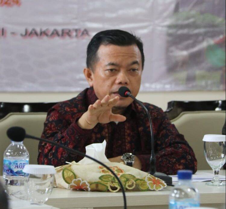 Geopark Merangin Resmi Ditetapkan sebagai Warisan Dunia, Bukti Kegigihan Al Haris!