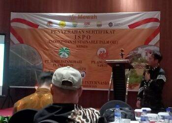 Gurita Hukum di Sekitar Sertifikat ISPO