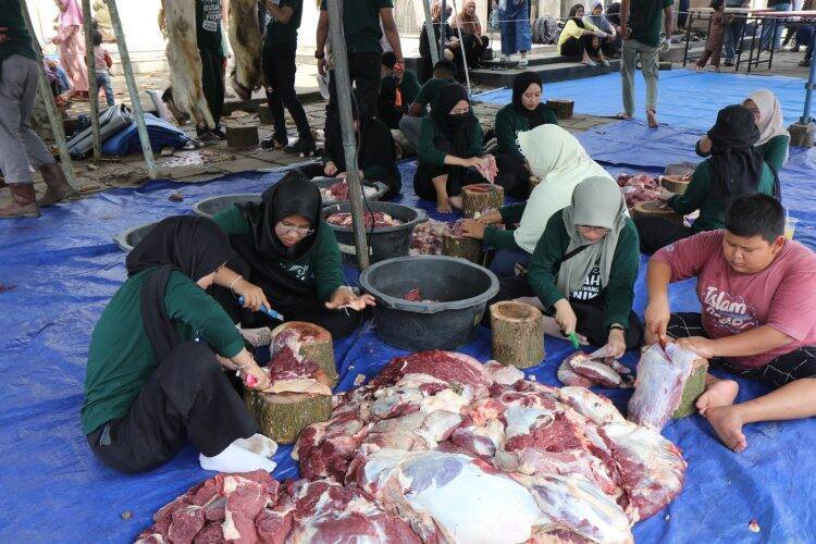 PEP Jambi Berbagi dengan 240 Anak Yatim di Momen Kebahagiaan Idul Adha